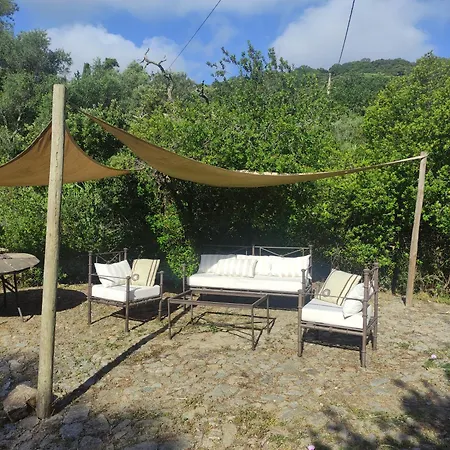 Authentique Bastidon Pres De Saint-tropez *