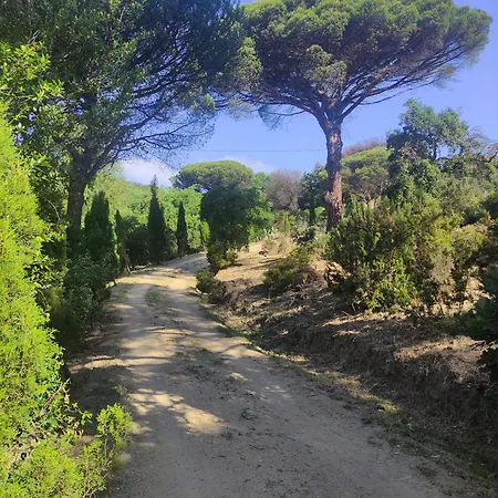 Authentique Bastidon Pres De Saint-tropez *